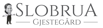 Tilbake til Slobrua